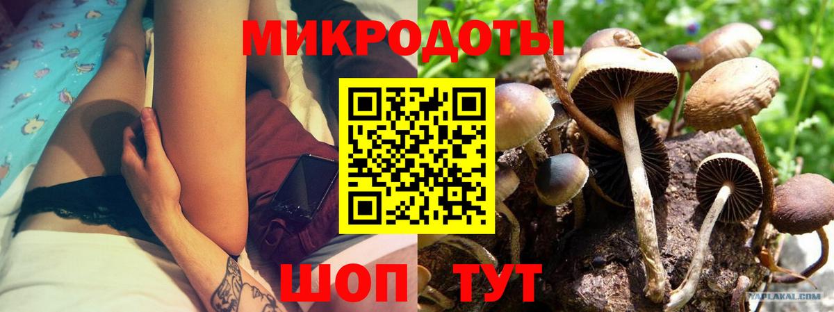 Псилоцибиновые грибы мухоморы Петропавловск-Камчатский